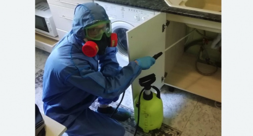 Уничтожение муравьев в квартире. Мосальск