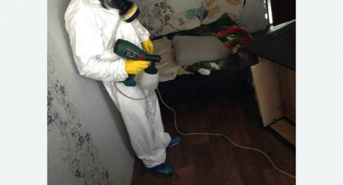 Обработка квартир от насекомых в Мосальске