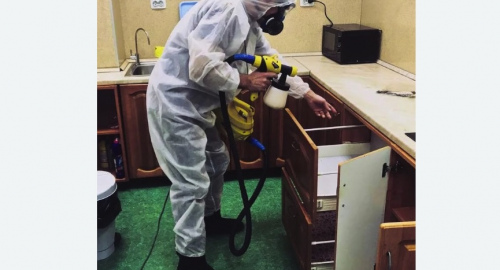 Дезинсекция квартиры. Мосальск