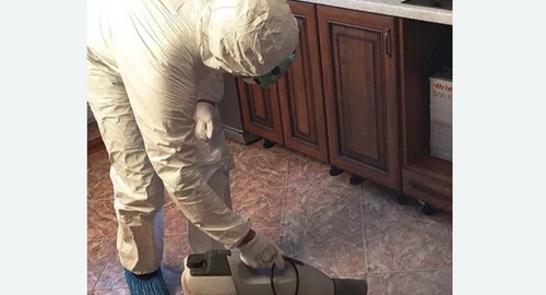 Уничтожение тараканов в квартире. Мосальск