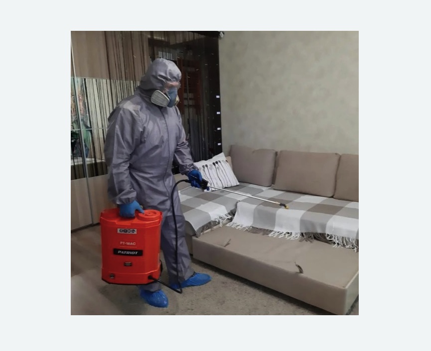 Обработка квартиры от блох в Мосальске Обработка квартиры от блох