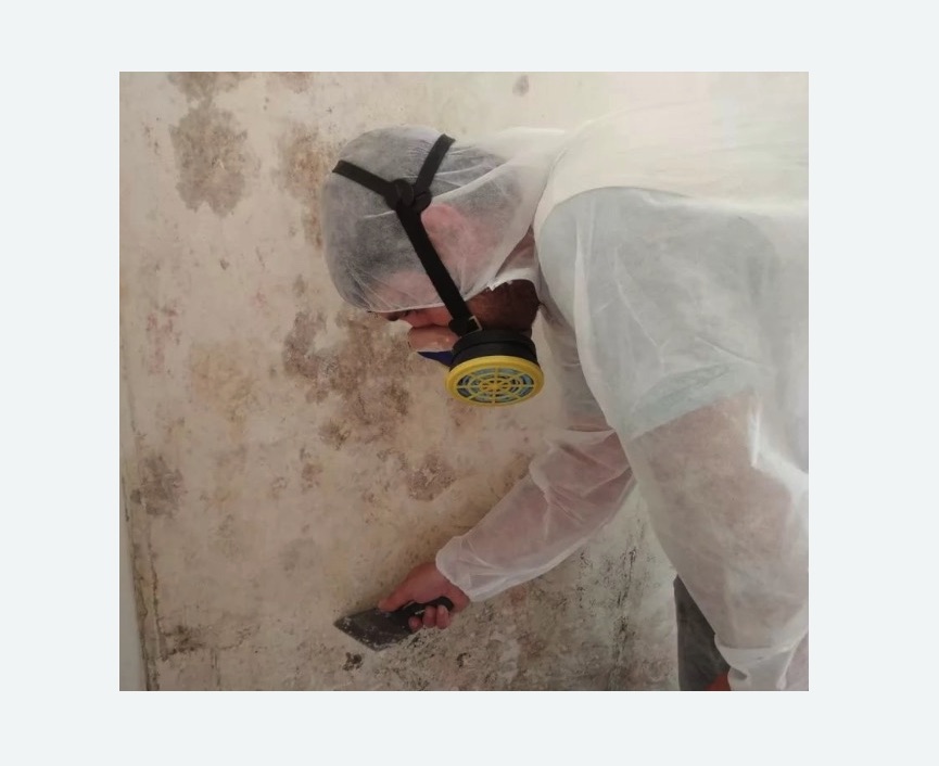 Обработка стен от плесени в Мосальске
