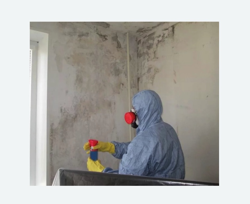 Удаление плесени в квартире в Мосальске