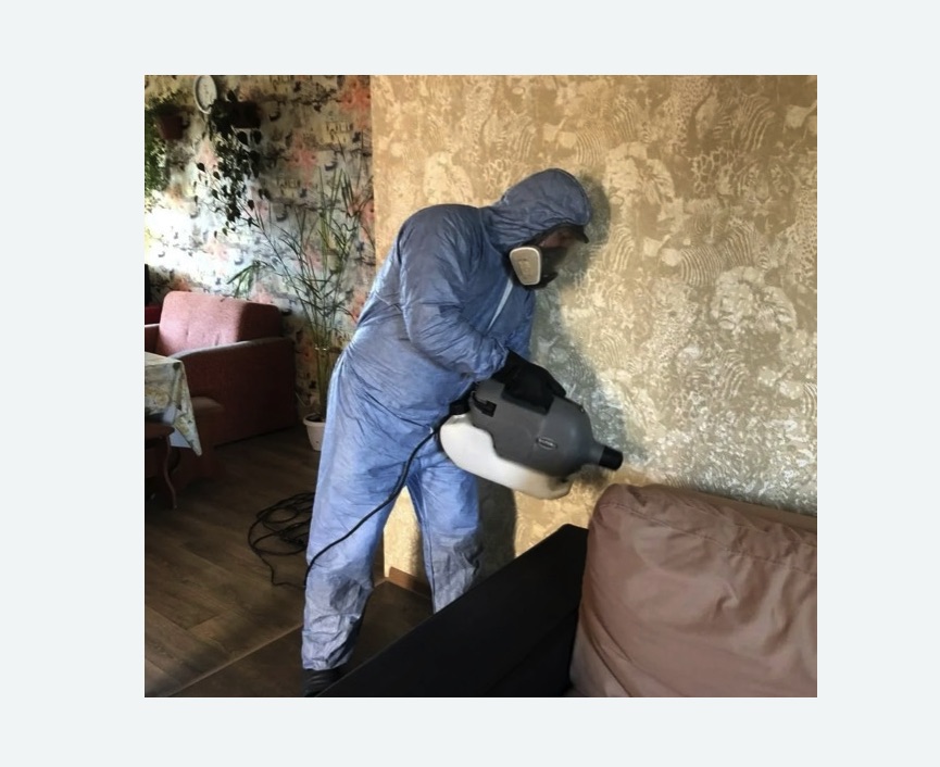 Уничтожение блох в квартире. Мосальск Уничтожение блох в квартире