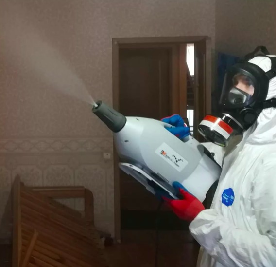 дезинсекция помещения в Мосальске