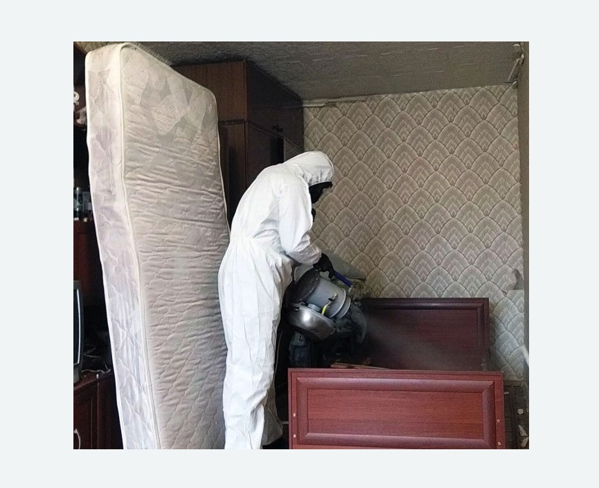 дезинфекция от клопов дезинфекция от клопов в Мосальске