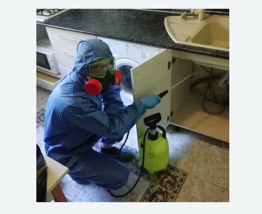 обработка от муравьев в квартире обработка от муравьев в квартире в Мосальске