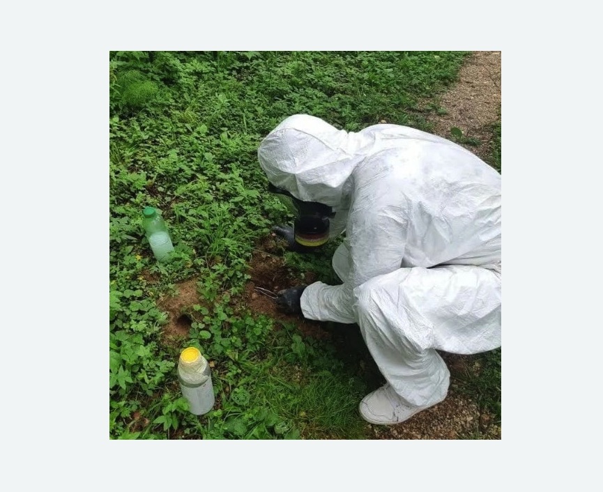 уничтожение кротов на участке уничтожение кротов на участке в Мосальске