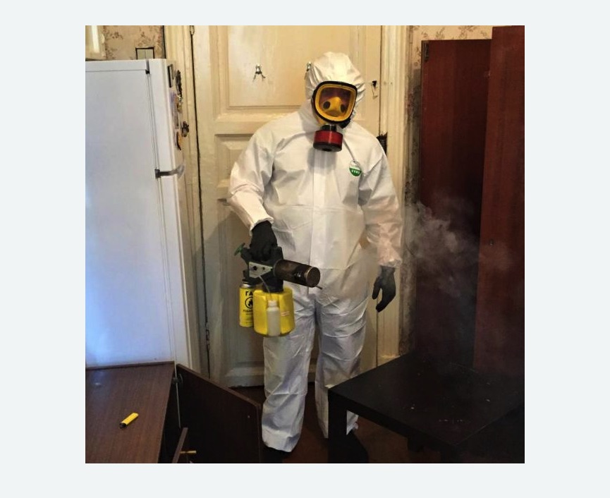 уничтожение муравьев в квартире уничтожение муравьев в квартире в Мосальске